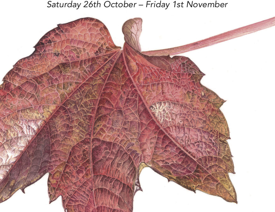 ESBA Exhibition – Infinite Beauty