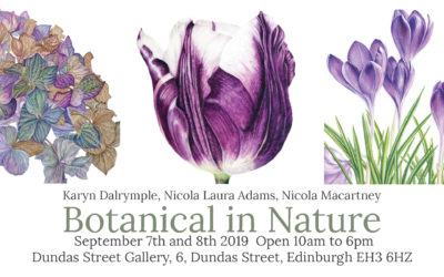 Members Exhibition: Karyn Dalrymple, Nicola Laura Adams and Nicola Macartney