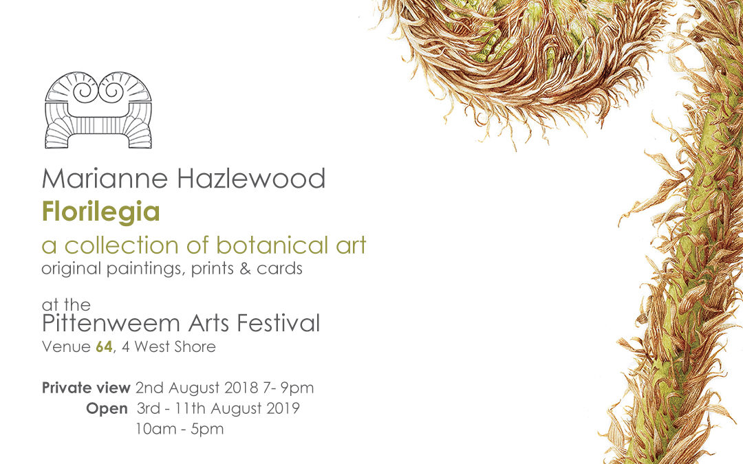 Marianne Hazlewood florilegia a collection of botanical art at the Pittenweem Art Festival