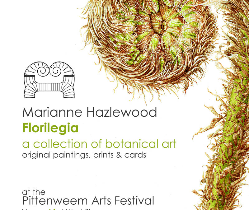 Members Exhibition: Marianne Hazlewood