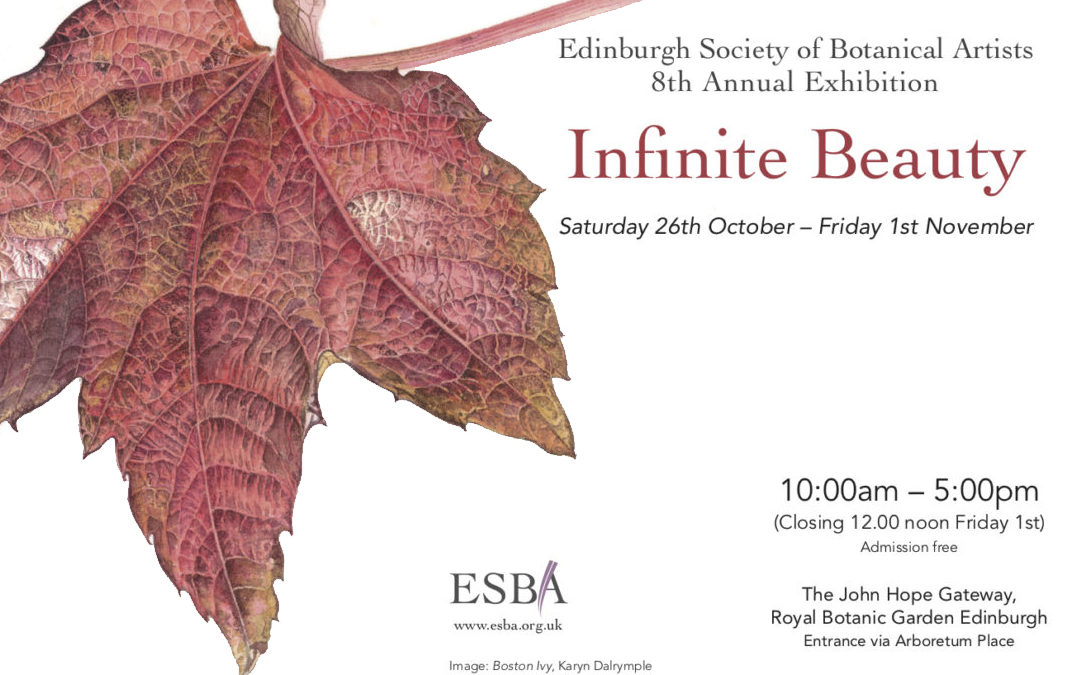 Infinite Beauty - ESBA annual exhibition 2019