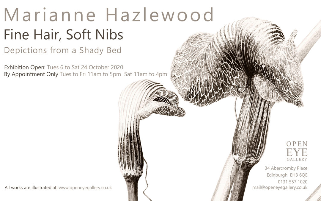 Marianne Hazlewood exhibition at the Open Eye Gallery