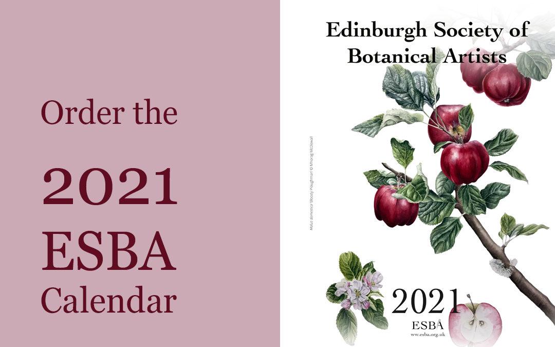 Order the ESBA 2021 calendar