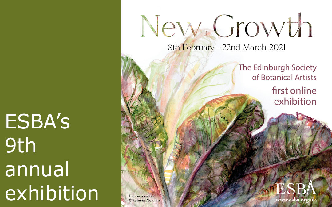 ESBA Exhibition – New Growth – Our first online exhibition!