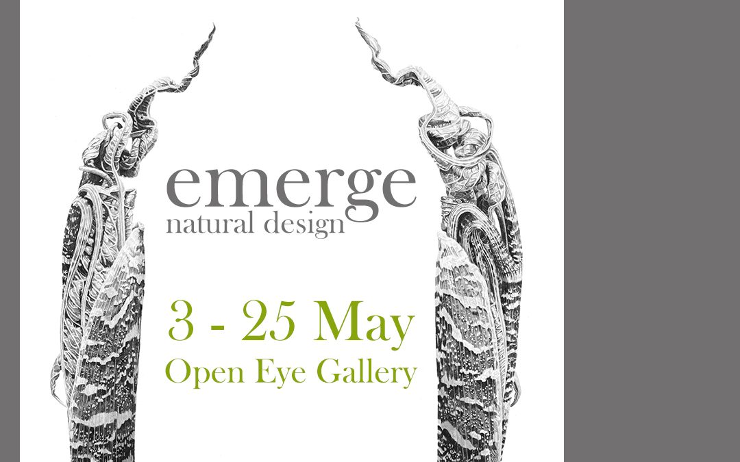 emerge natural design exhibition by Marianne Hazlewood at the Open Eye Gallery, 3 - 25 May